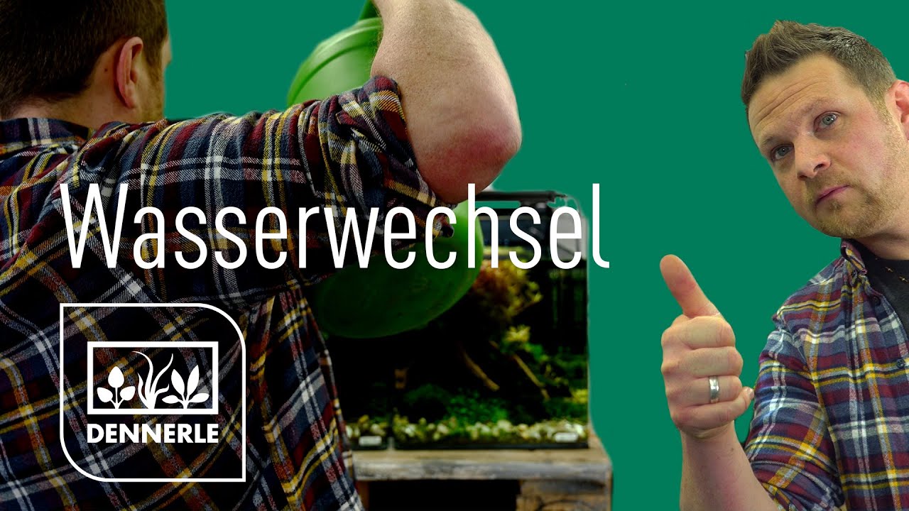 Wasserwechsel! Wie das geht und warum er so wichtig ist! | DENNERLE