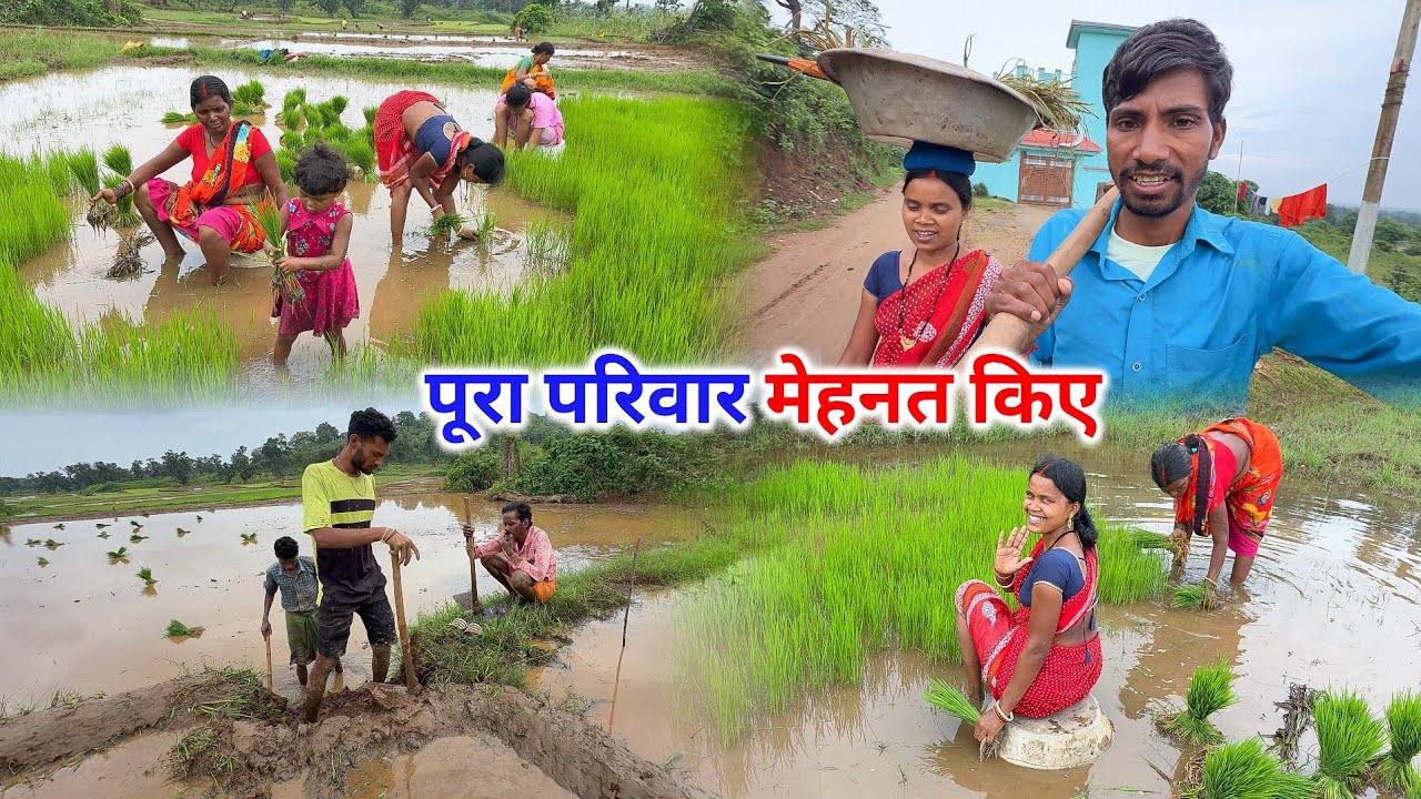पूरा परिवार मेहनत किए | परिवार के साथ काम करने का मजा ही अलग है | Pahadi Lifestyle Vlogs