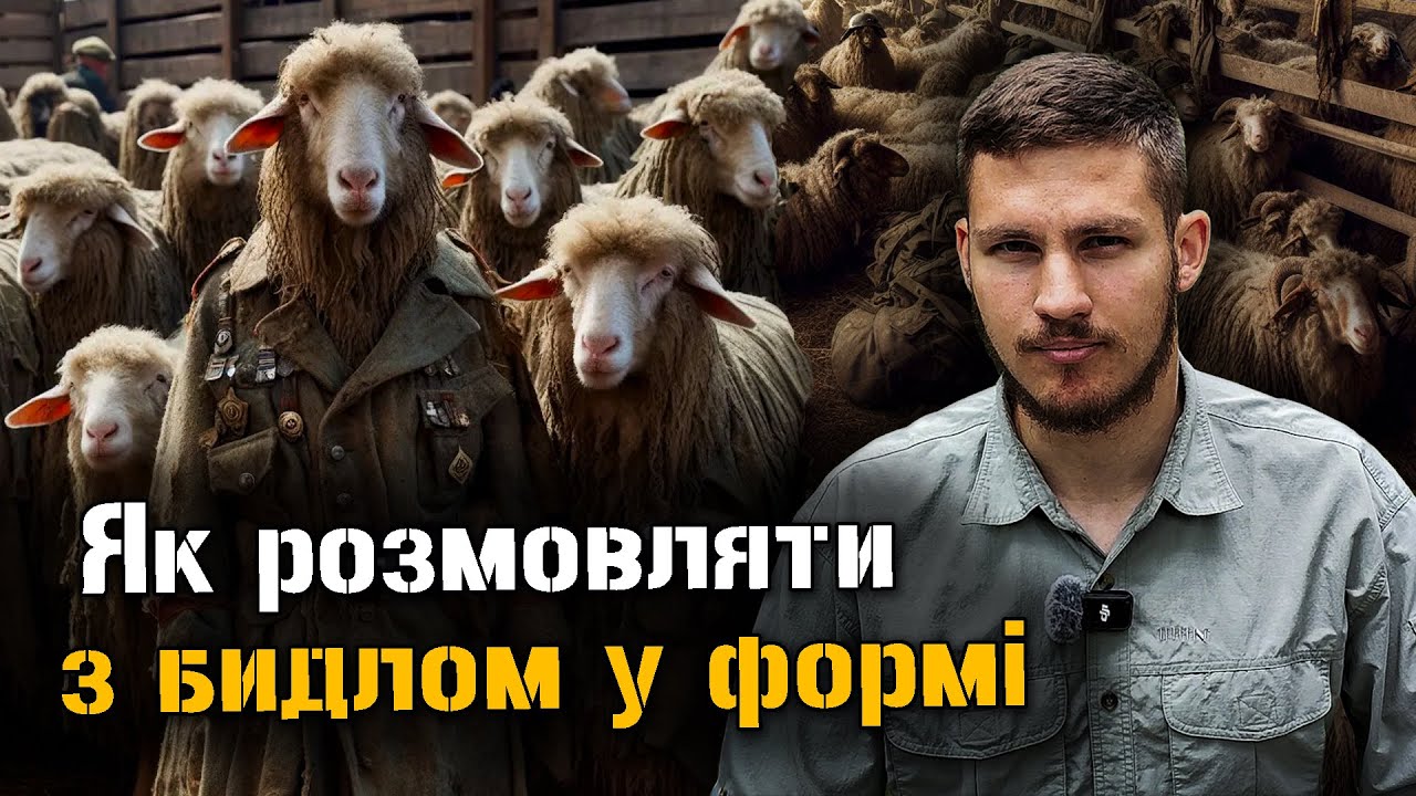 Як розмовляти з військовим бидлом?