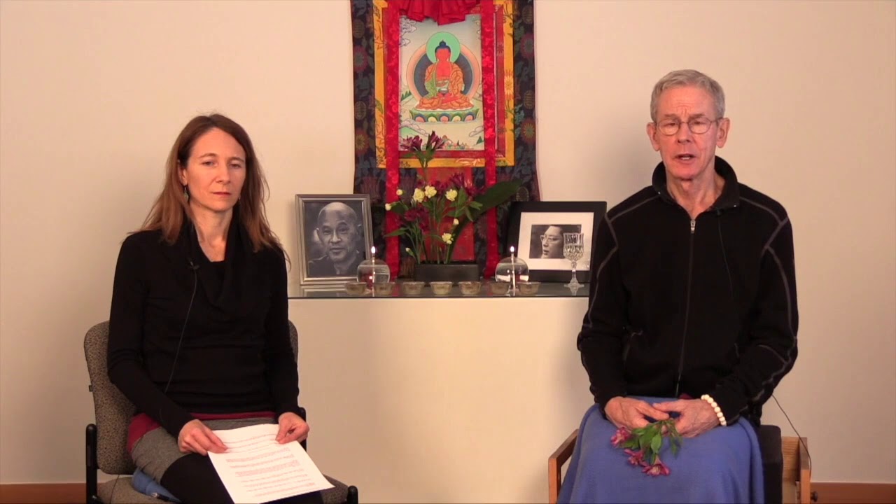 Dharma Ocean Dath&uuml;n retreat with Reggie Ray - taken from an online session 2016