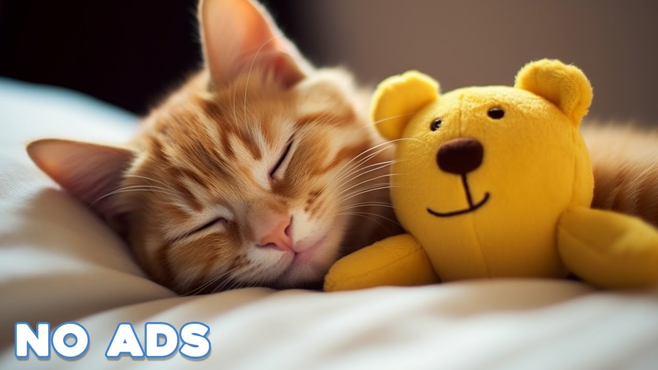 12 Hours Calming Music for Cats 🐈 Sleep Music for Cats No Ads ♬ Sleep Music for Anxious Cats