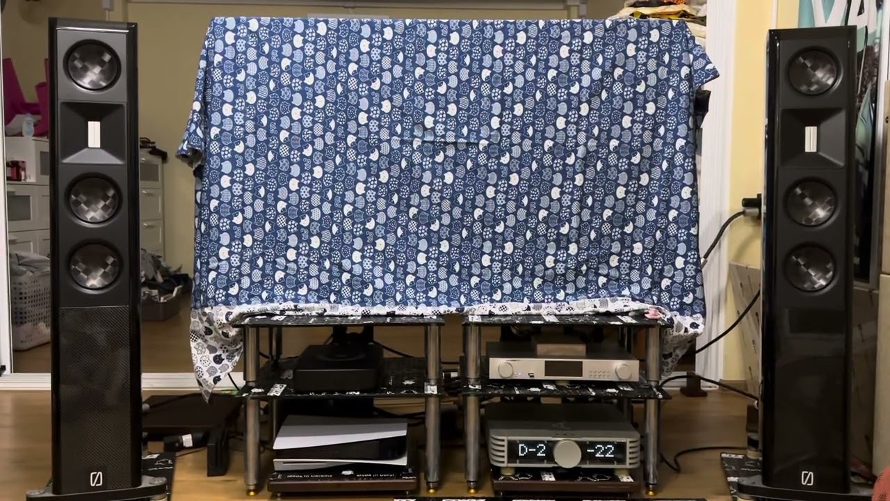Don’t know why /Borresen X3 with solid state amplifier