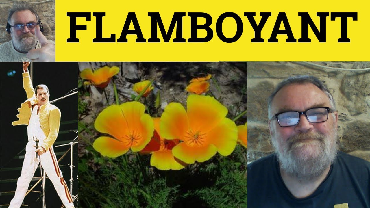 🔵 Flamboyant Meaning - Flamboyant Examples - Flamboyant in a Sentence - Flamboyant Definition