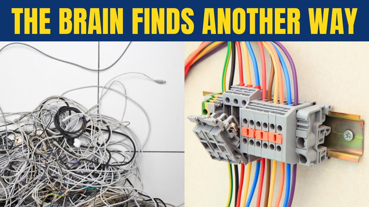 Neurodivergence & Neuroplasticity; The Brain Finds Another Way