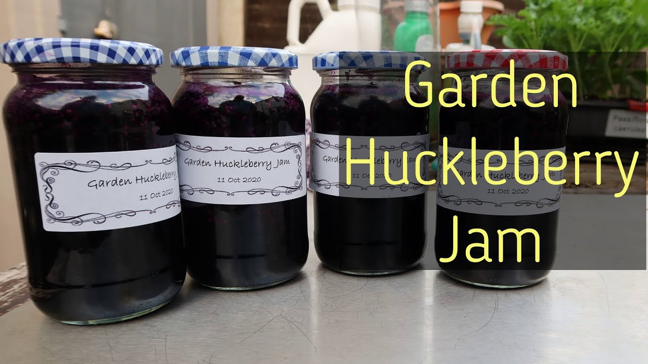 Garden Huckleberry Jam (Jelly) GORGEOUS COLOUR!