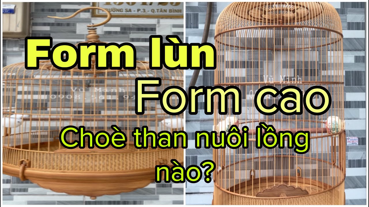 CH&Iacute;CH CHO&Egrave; THAN -N&Ecirc;N NU&Ocirc;I LỒNG CAO HAY L&Ugrave;N TH&Igrave; HỢP L&Yacute; |Lồng chim Vũ Minh  | SDT & zalo 0908.561.943