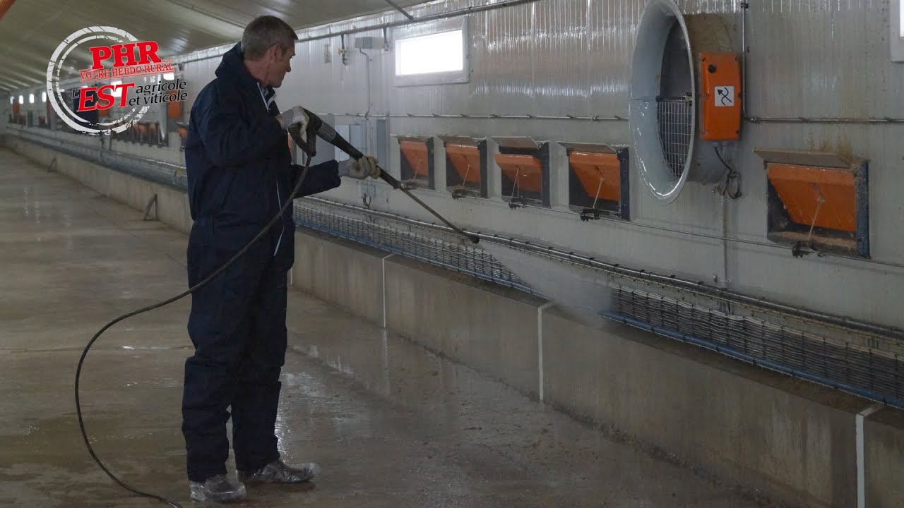 Protocole de lavage des bâtiments d'élevage de volailles