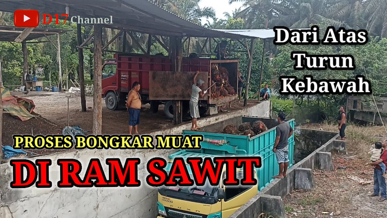 Proses Bongkar Muat Di RAM Sawit