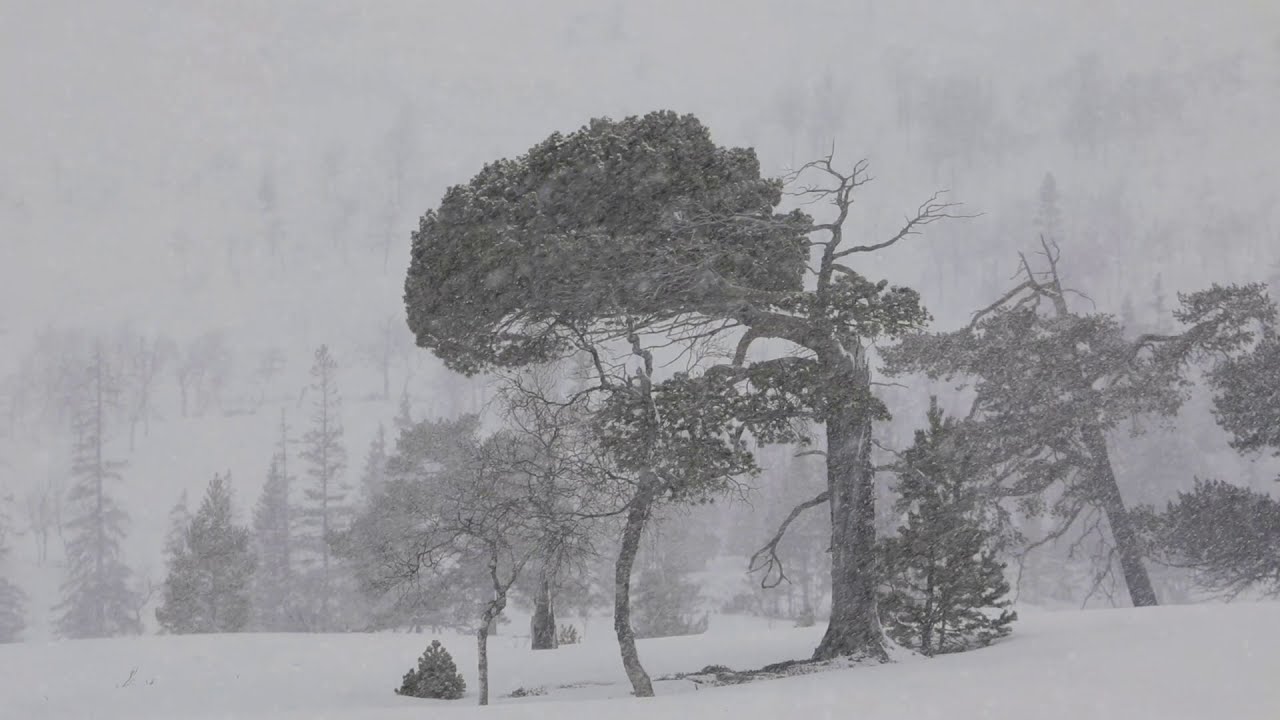 Triakel - Jämtlandssången