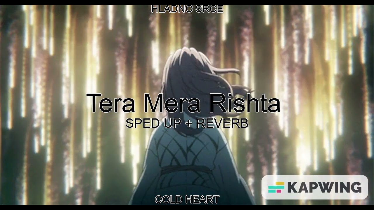 Tera Mera Rishta (SPED UP + REVERB) | Mustafa Zahid | HLADNO SRCE AKA COLD HEART