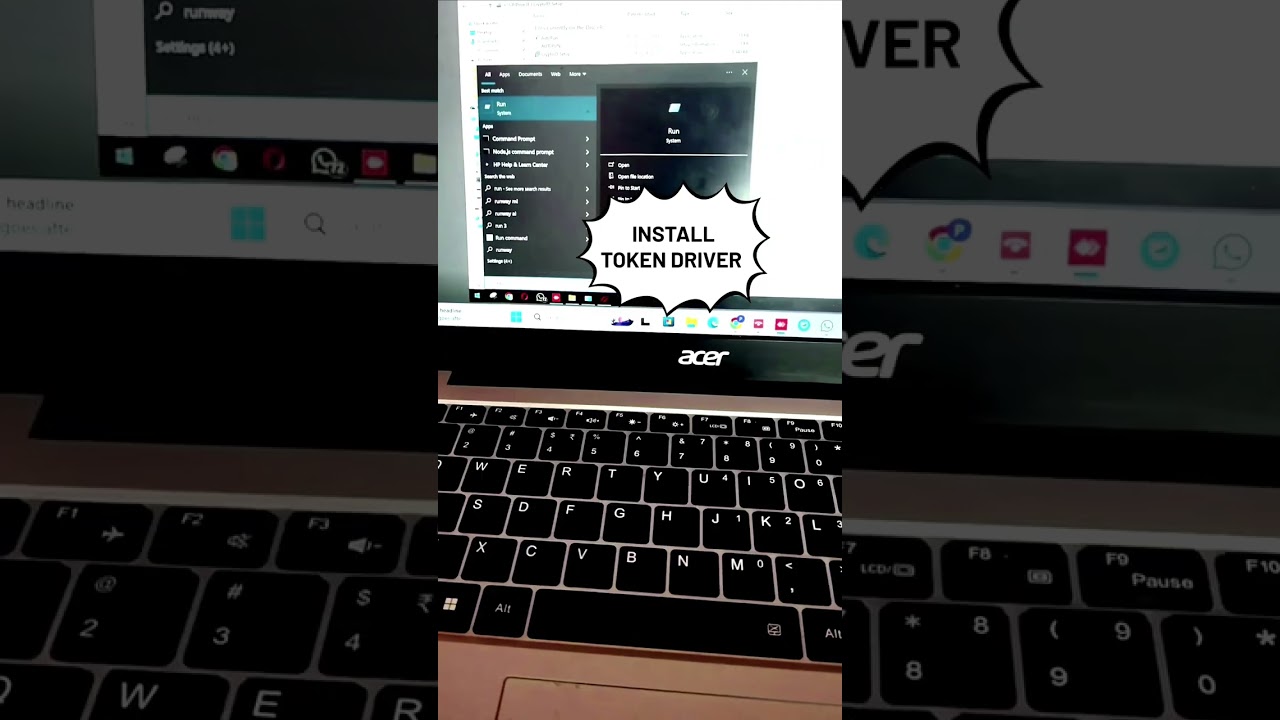 How to use Dsc Icegate Portal