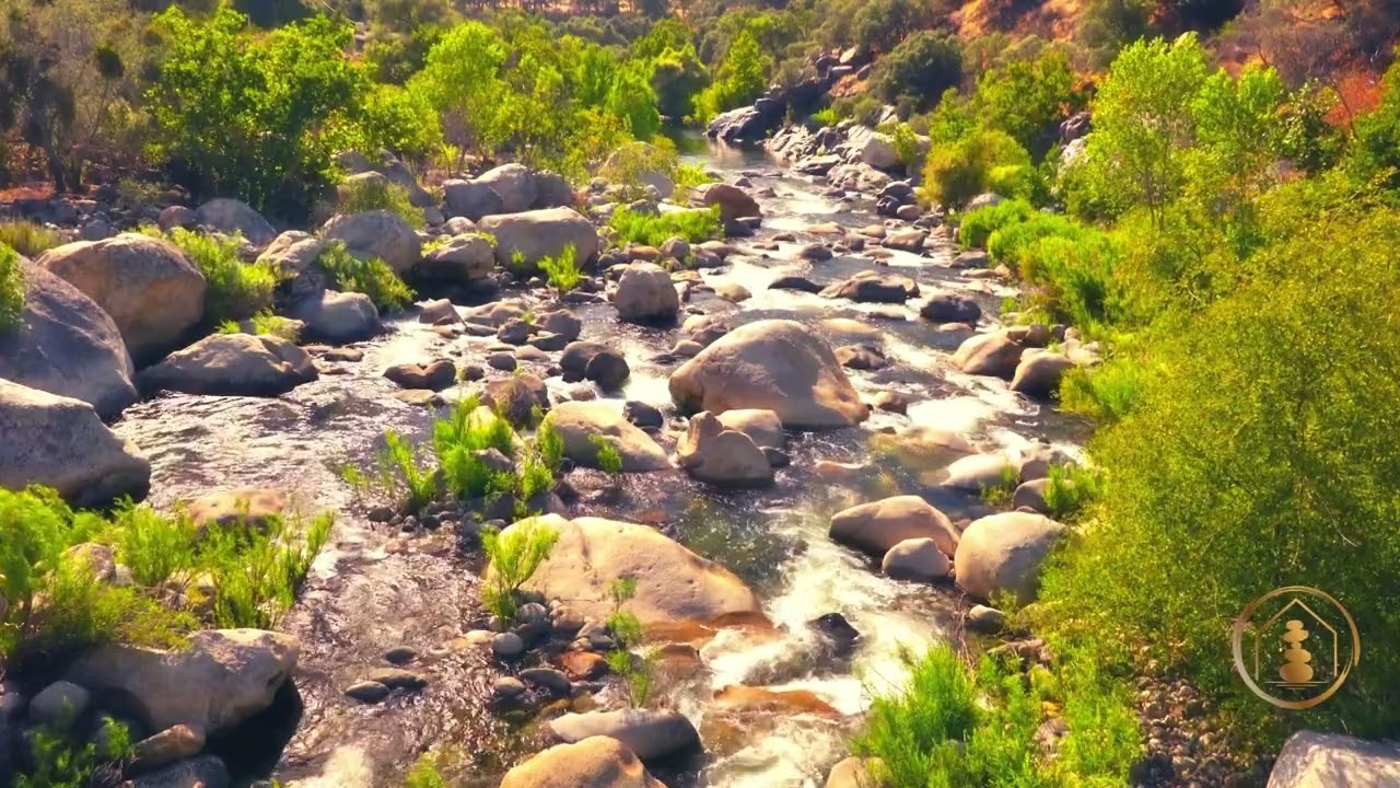 Музыка для снижения артериального давления и улучшения здоровья сердца 🌿