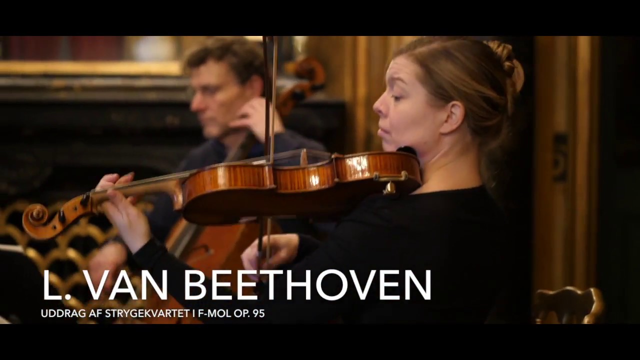 Arild Kvartetten - Beethoven teaser 2018