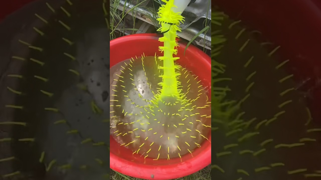 Deze bevroren stressbal ontploft door het water #experiment #waitforit