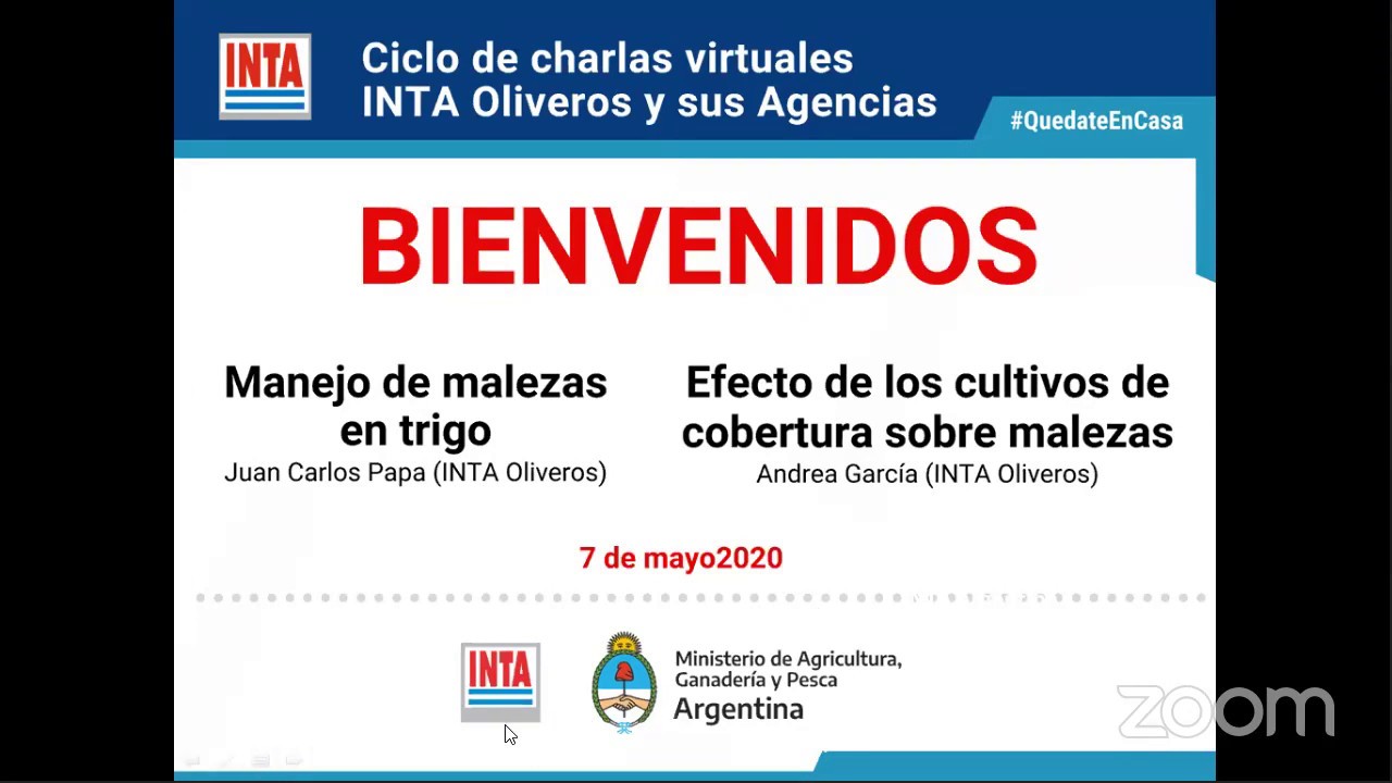 Ciclo de charlas virtuales: malezas en trigo y efecto de los cultivos de cobertura sobre malezas