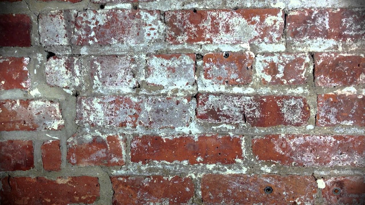 How to Read Music - Episode 1: An Introduction to Reading Music