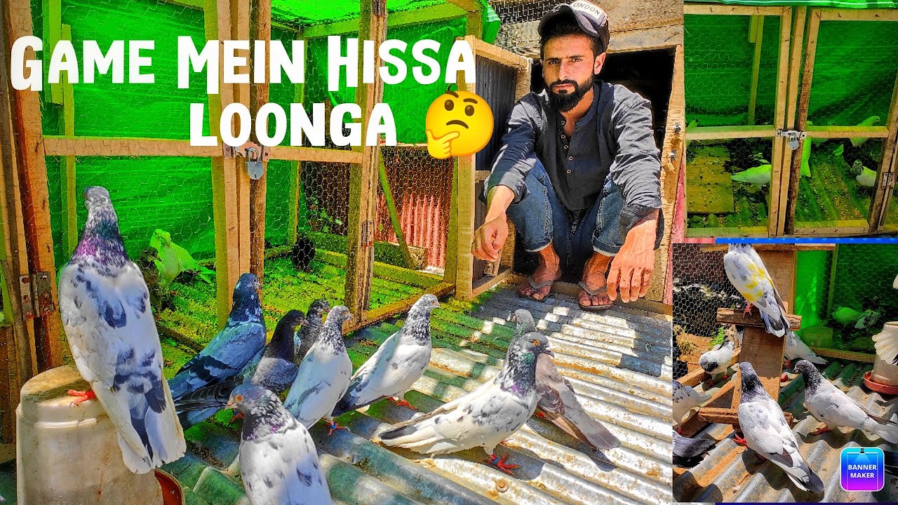Next Year Game mein Hissa Loonga 🤨