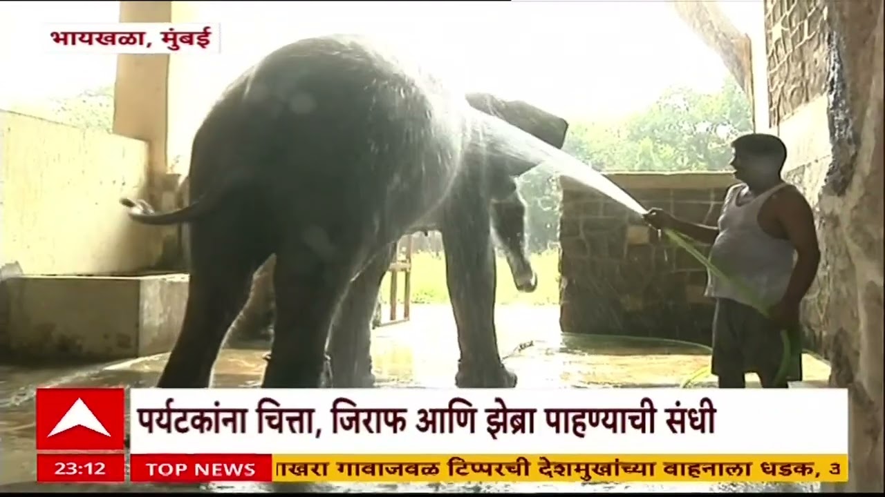 Byculla Zoo : वीरमाता जिजाबाई भोसले प्राणिसंग्रहालयाचा विस्तार करण्यात येणार