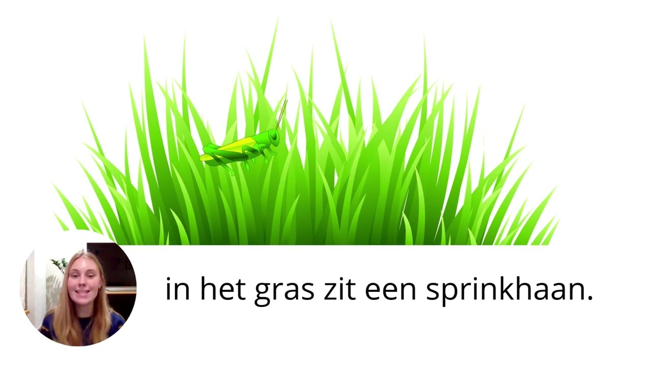 Nederlands leren - Woordenschat: de tuin