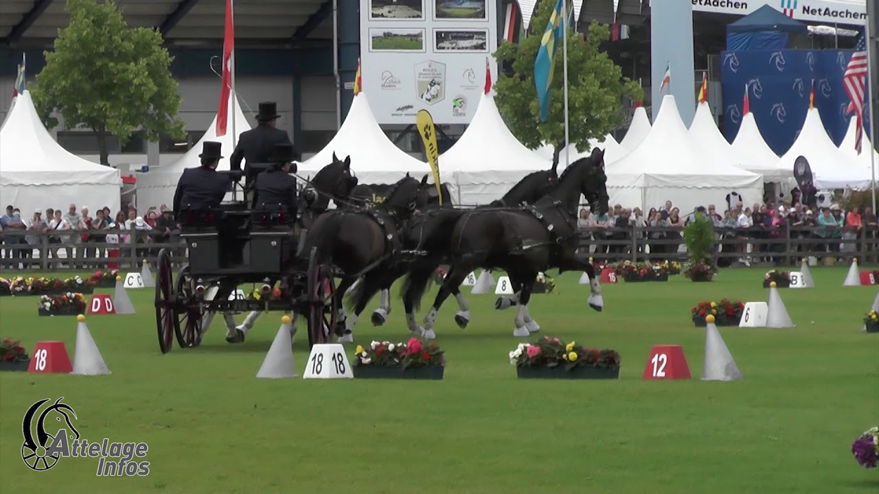 Wilf Bowman Ripley   Gbr   CAIO Aachen 2019   Cones