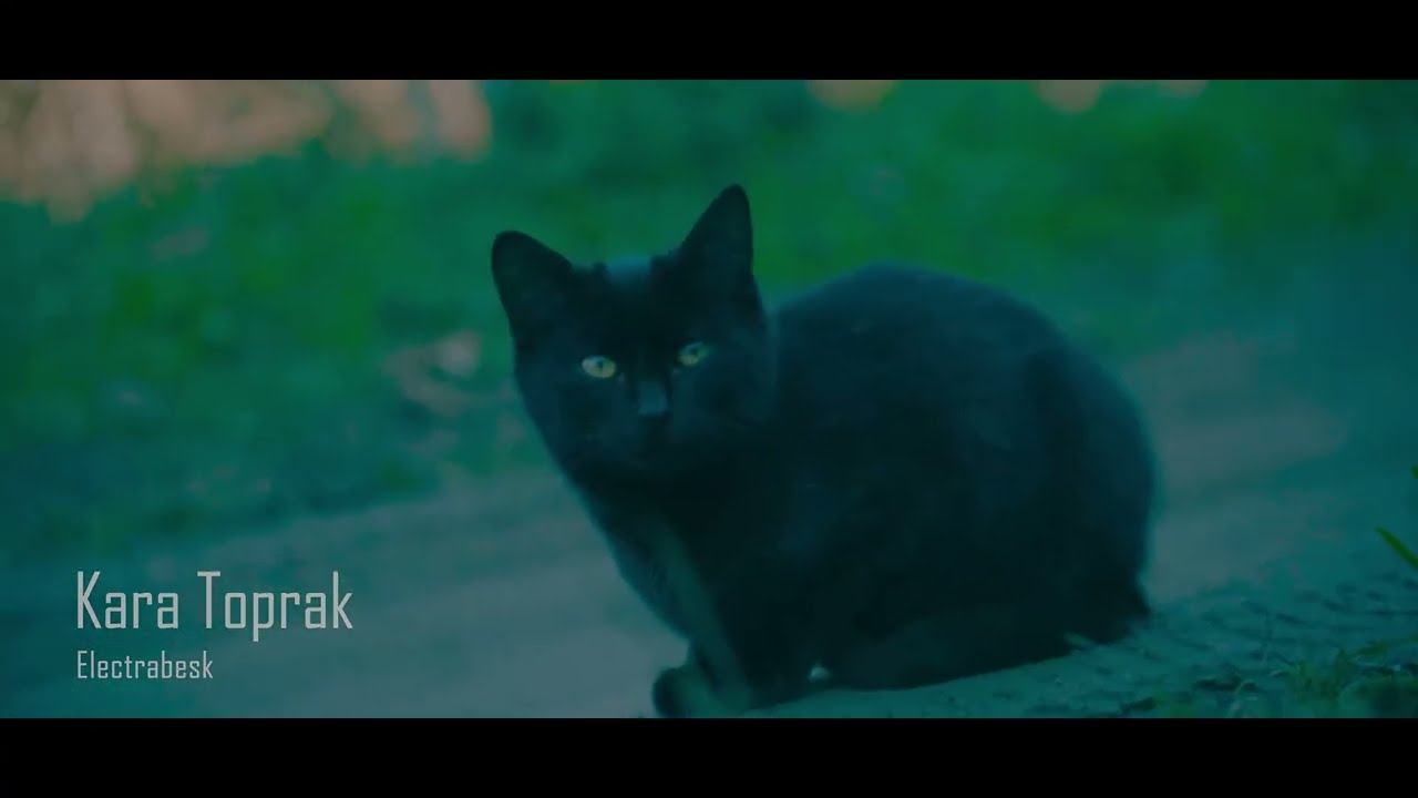 Electrabesk - Kara Toprak