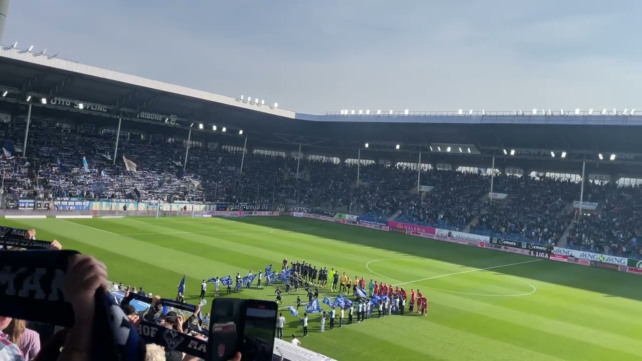 SV Waldhof Mannheim Hymne 💙🖤 Blau & Schwarz - Mein Herz fing an zu schlagen - SVW vs Havelse