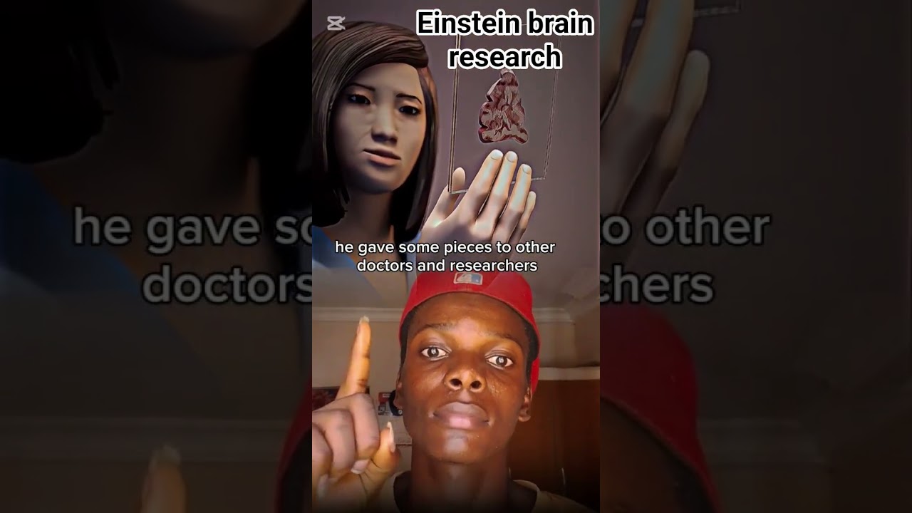 Einstein Albert brain 🧠 research 