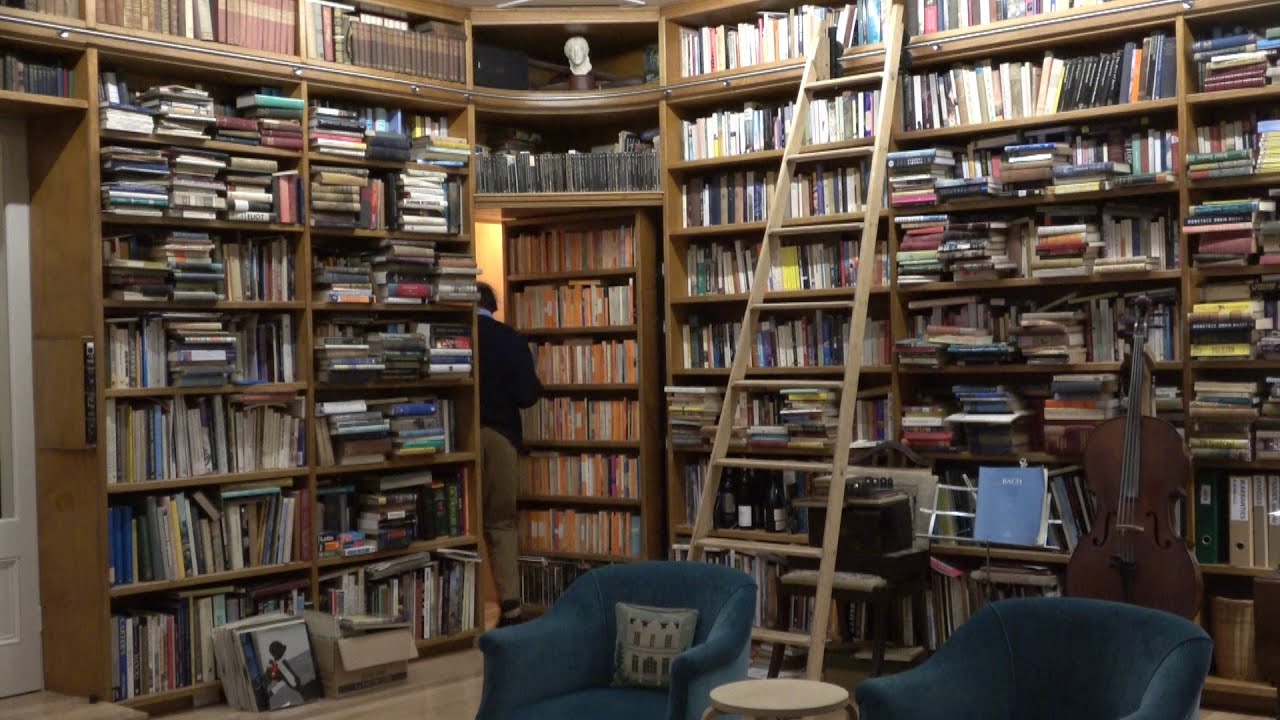 Home Library DIY: domed ceiling, shelves, secret door, rolling ladder