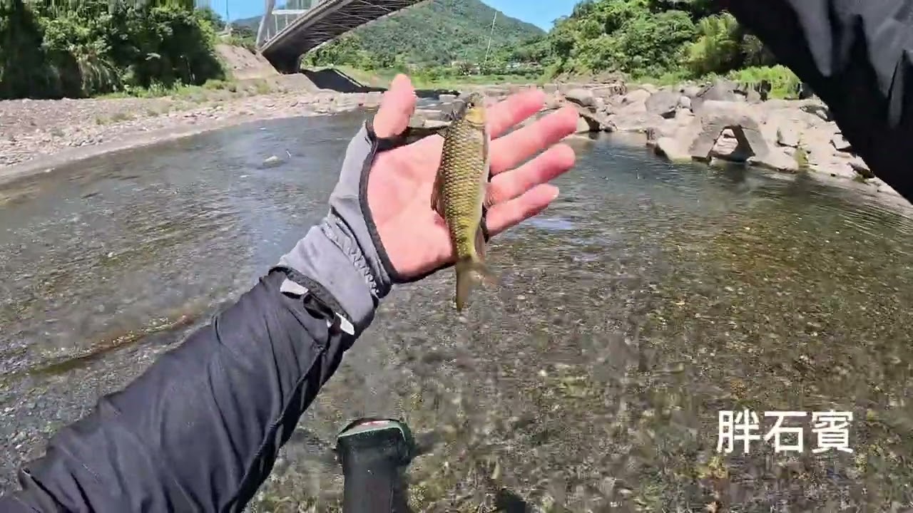 2025 9 6  快樂釣魚🎣趣 最方便又有魚的釣點