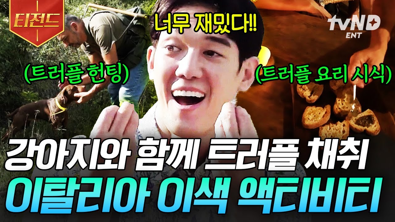 [#현지인브리핑지금우리나라는] 트러플을 찾아오는 강아지가 있다?!🐕 세계 3대 진미 트러플을 직접 따고 먹을 수 있는 이탈리아 이색 체험✨ | #티전드