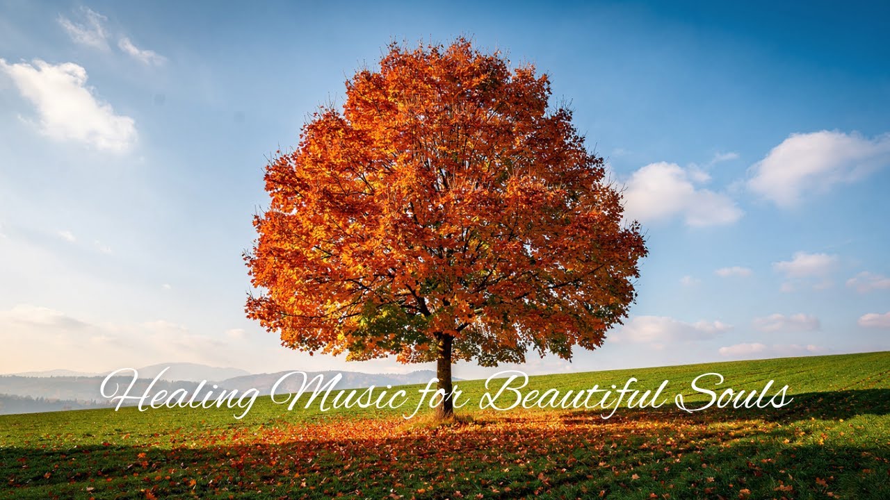 Healing Sleep Music 🌿 Calming Music & Natural Sounds for Sleep, Relieve Stress, Calm Anxiety