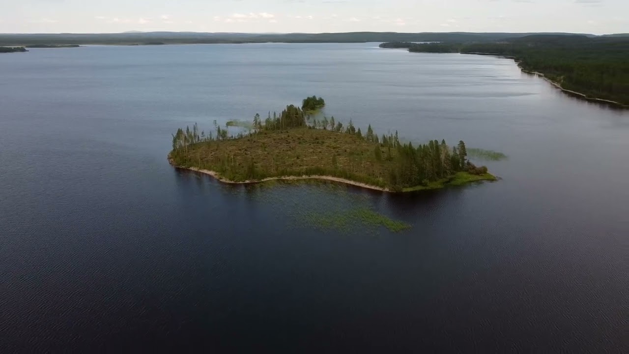 Martinharju ja Irnijärvi (elokuu 2023)