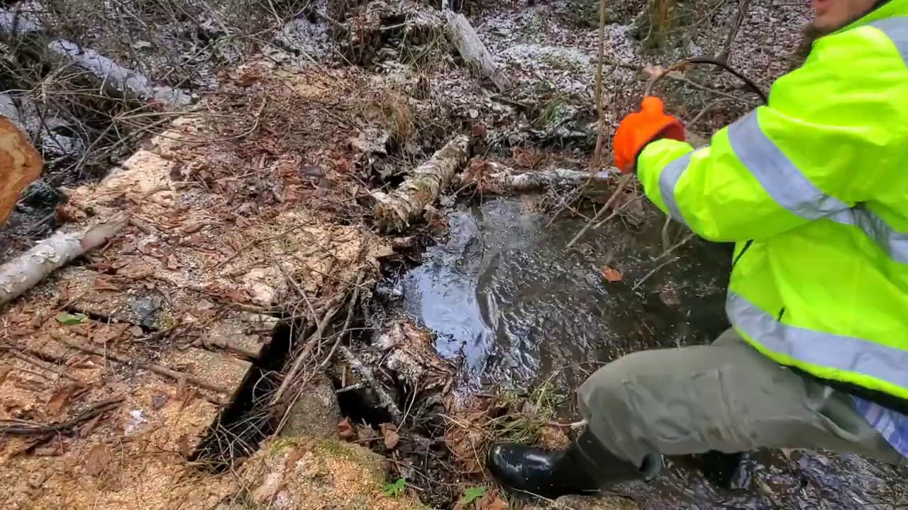 Unclogging And Rebuilding Abandoned Trail System Through The Forest