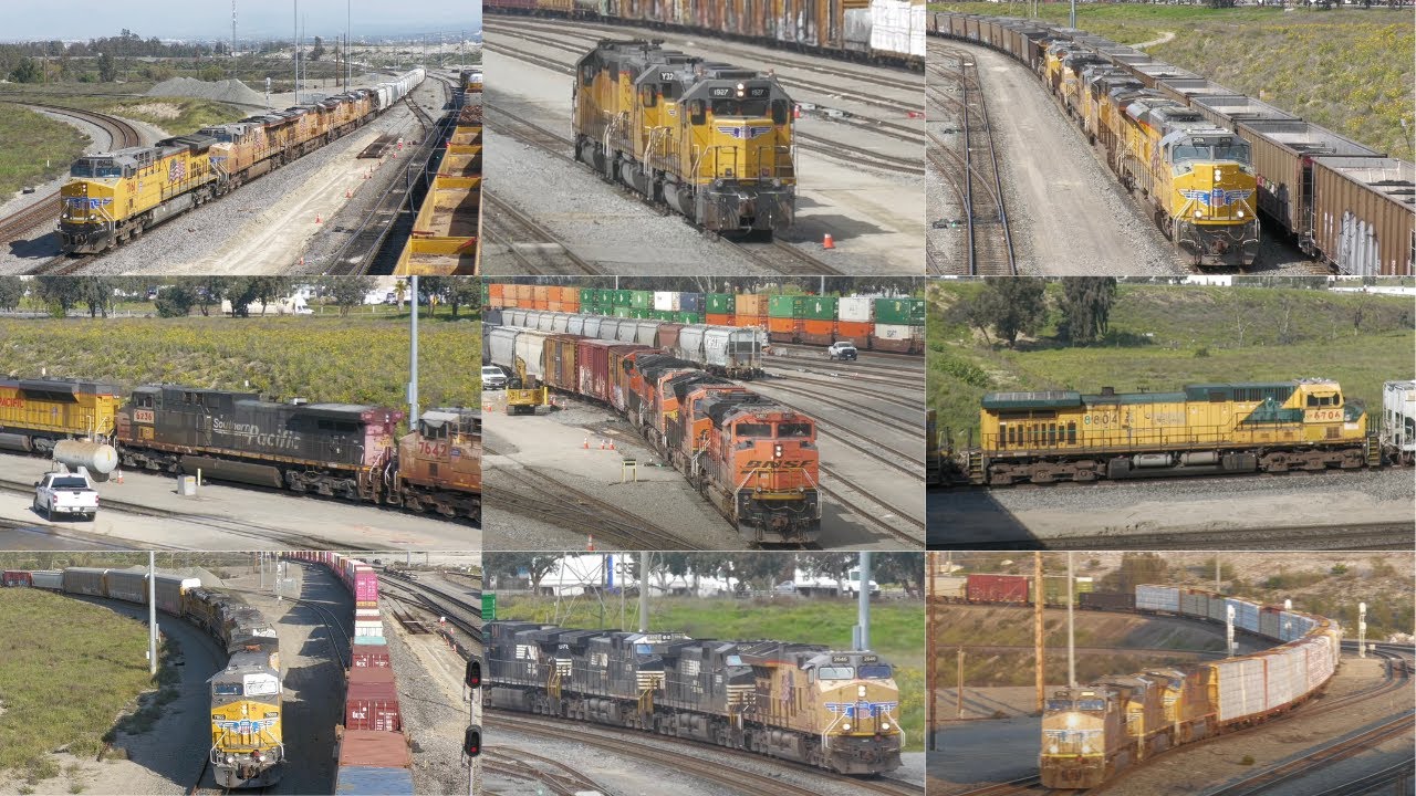 Trains at Union Pacific's West Colton Railyard! 3/5/2024