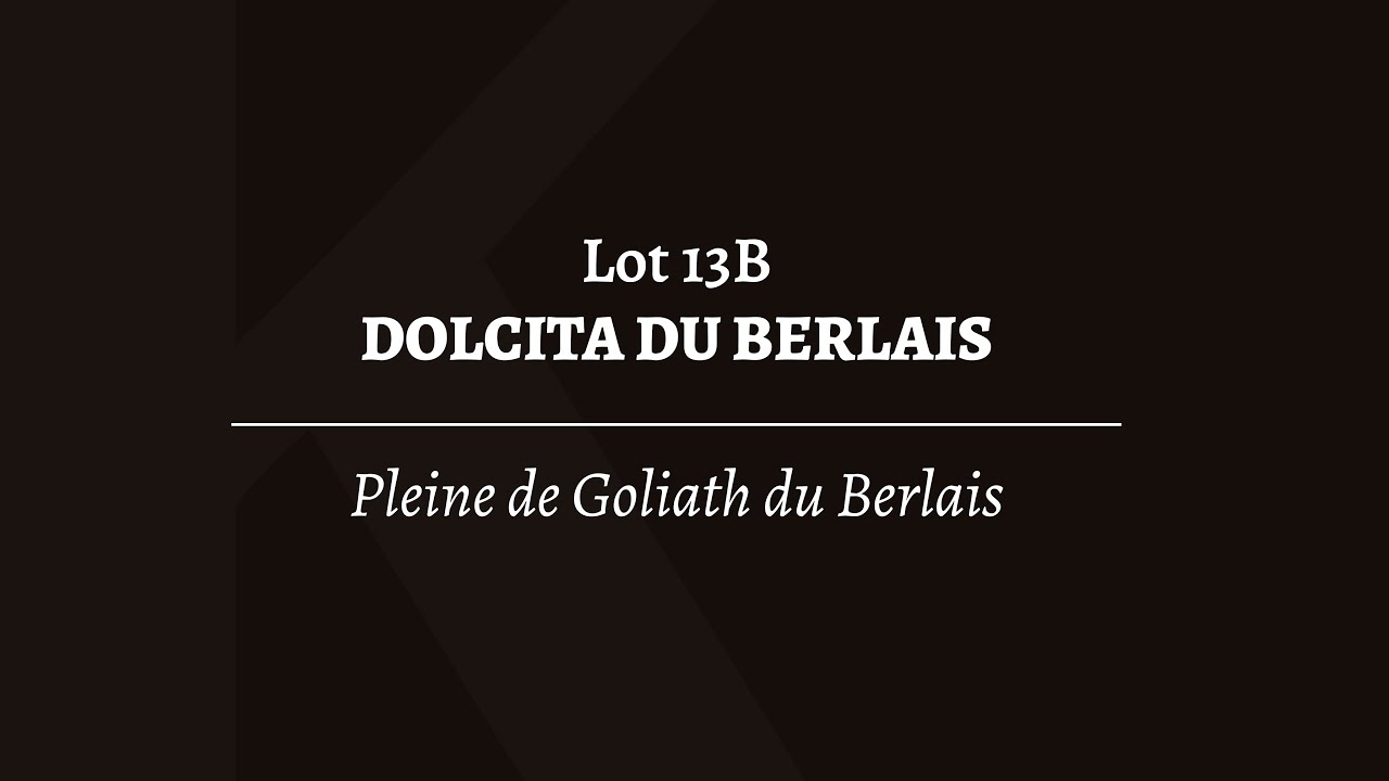 Lot 13b - DOLCITA DU BERLAIS (Poliglote x Chica du Berlais)