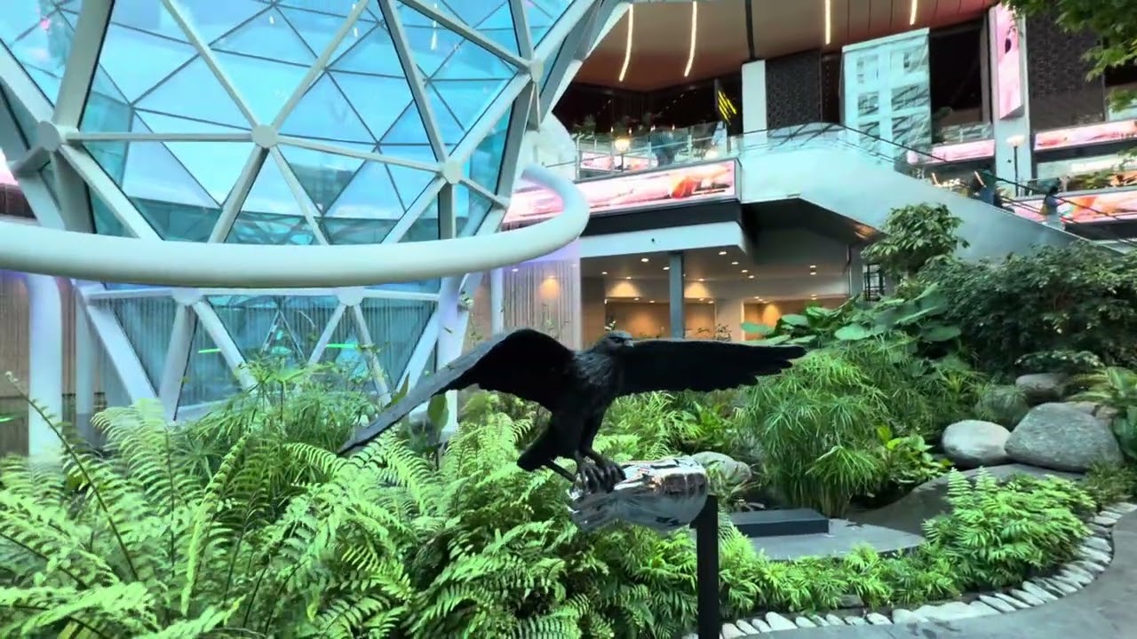 Сад | Крытый тропический сад в аэропорту Дохи | Сад | Международный аэропорт Дохи