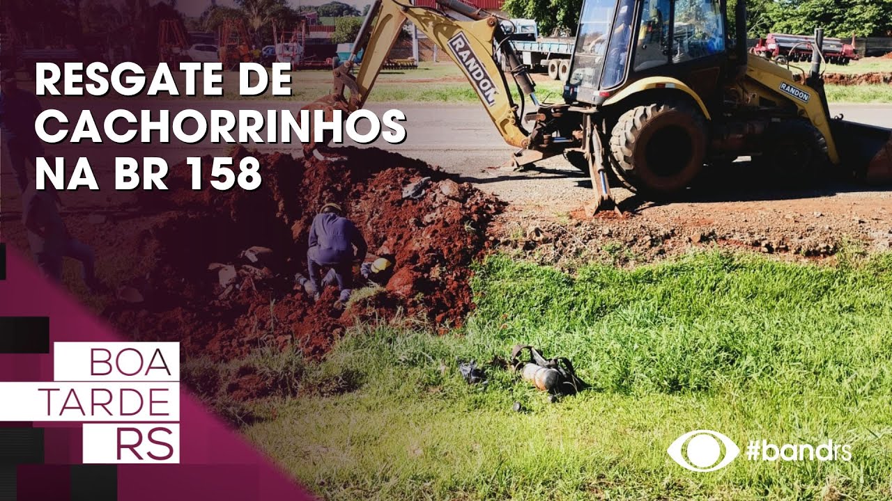 Resgate de cachorrinhos na BR-158