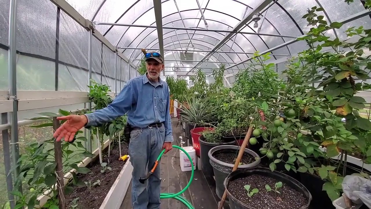 THIS Will Blow Your MIND!  IS a GREENHOUSE Worth It?