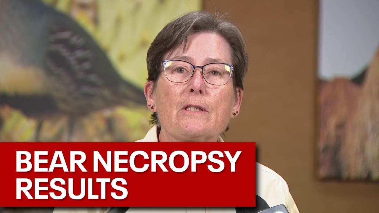 New updates on deadly Prescott-area bear attack