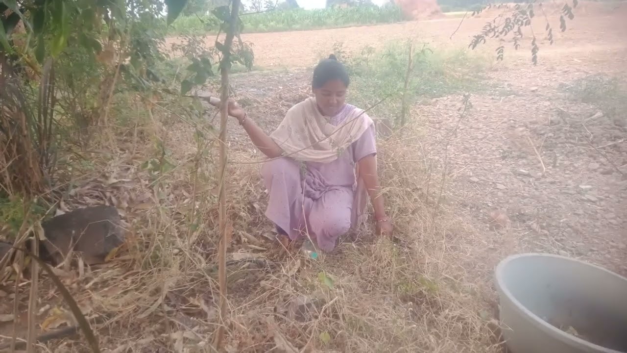 चावीच्या साईटची साफसफाई गवत काडून