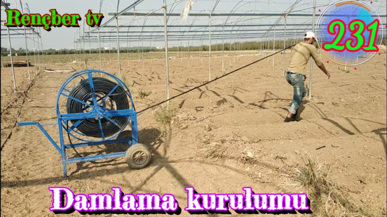 Damla sulama sistemi kurulumu ve dikkat edilmesi gereken önemli hususlar. Kabak yetiştiriciliği