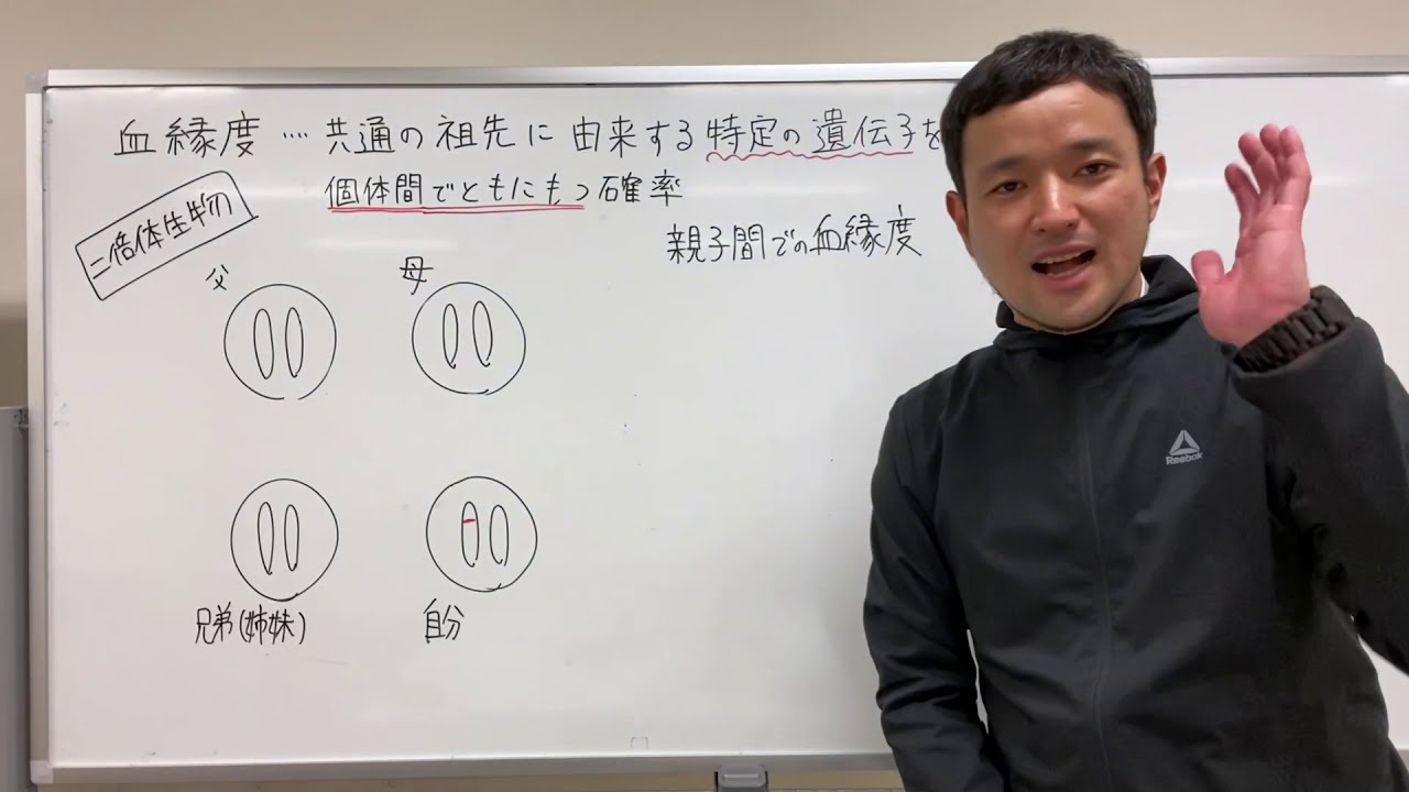 生物【個体群・遺伝】05血縁度と適応度