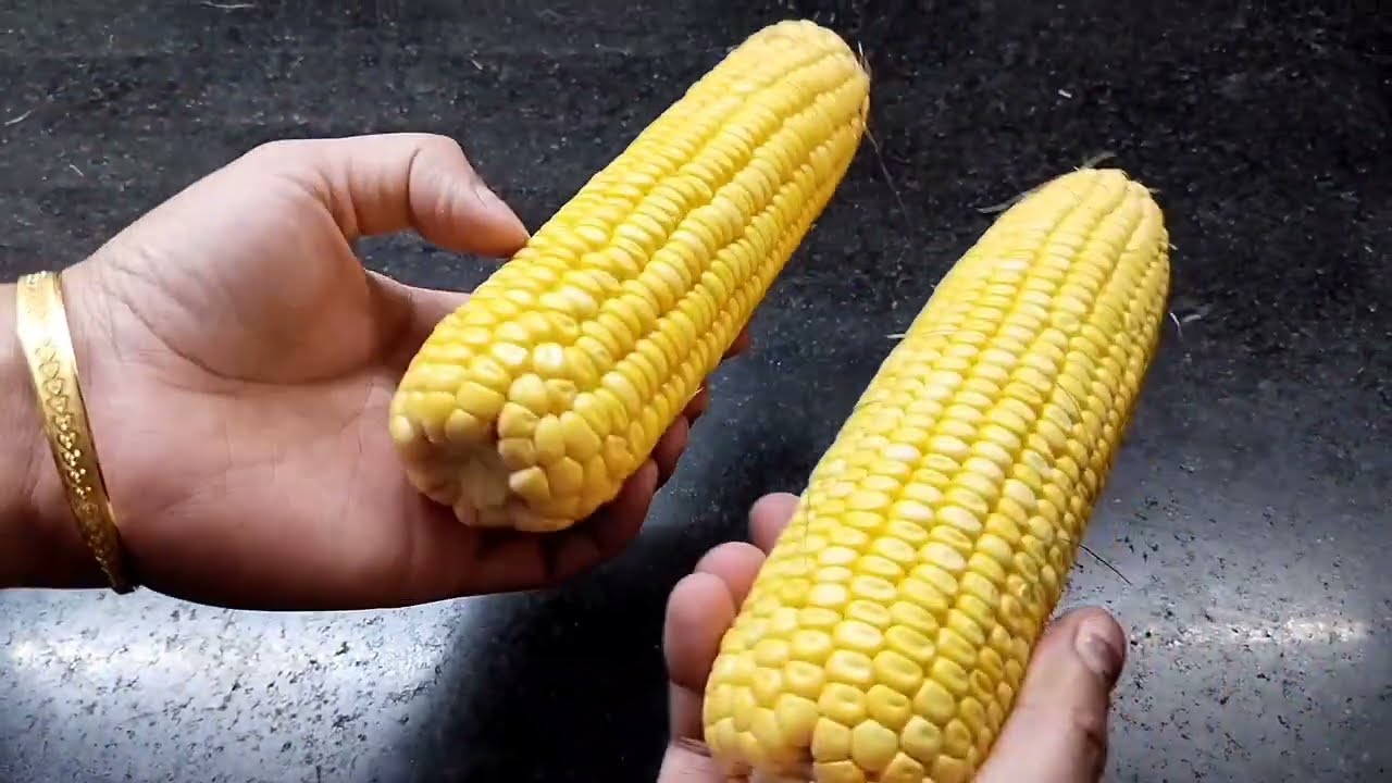 Boiled Corn Challi Masala Recipe | बाजार जैसा भुट्टा छल्ली बनाए घर पर | Butta Challi Recipe | Bhutta