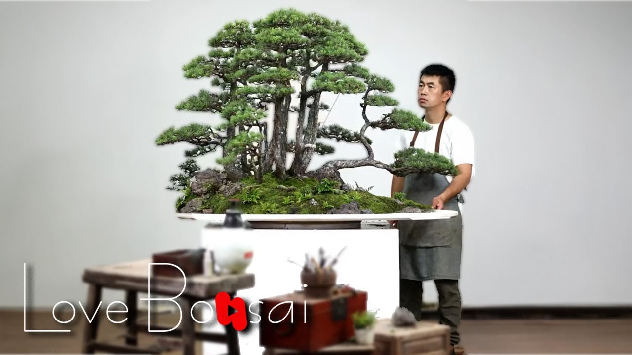 Today's forests are no longer in paintings but in pots.