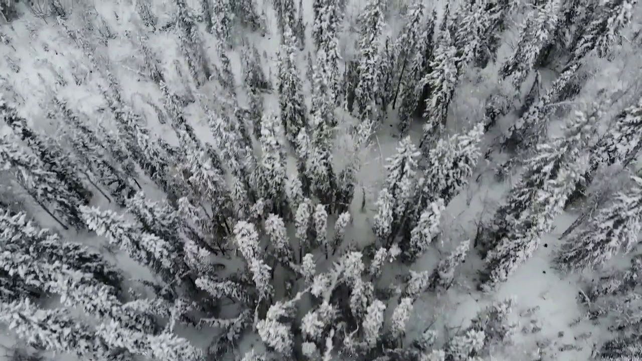 Yukon Preview. Log Building Fishing Snowmobiling And Living Off Grid