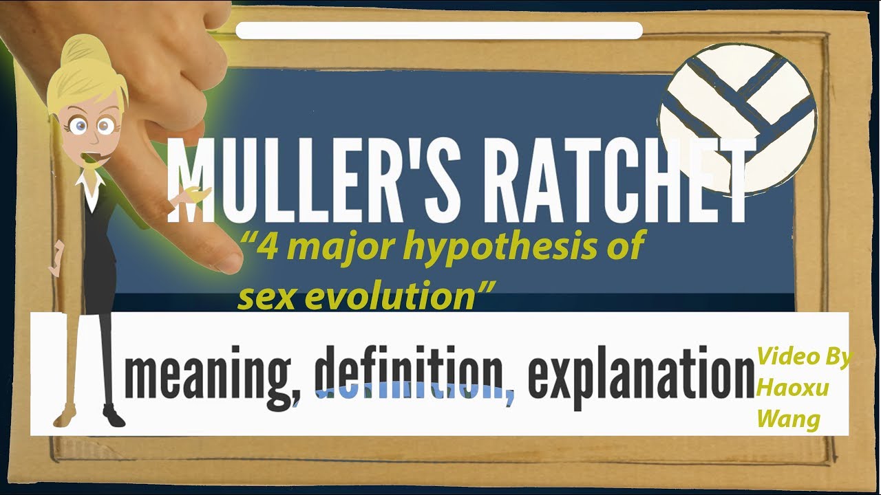 4 Hypotheses about the Evolution of Sex | Youtube Science Communication Student Video