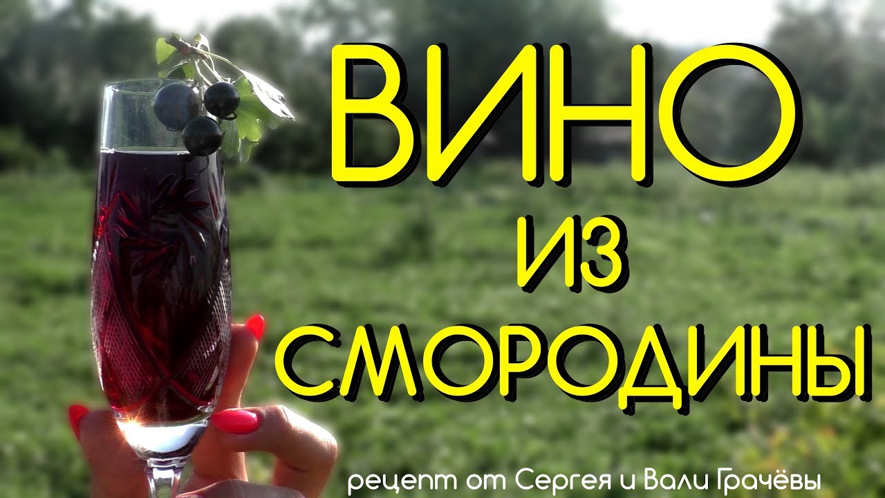 🍷 ВИНО из ЧЁРНОЙ СМОРОДИНЫ - ВКУСНЫЙ РЕЦЕПТ ПРОВЕРЕННЫЙ ВРЕМЕНЕМ 🍷
