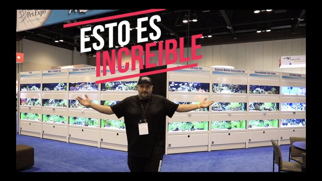 ACUARIOS Y MAS ACUARIOS EN LA EXPO MASCOTAS||||||😱🐟🐠🐡