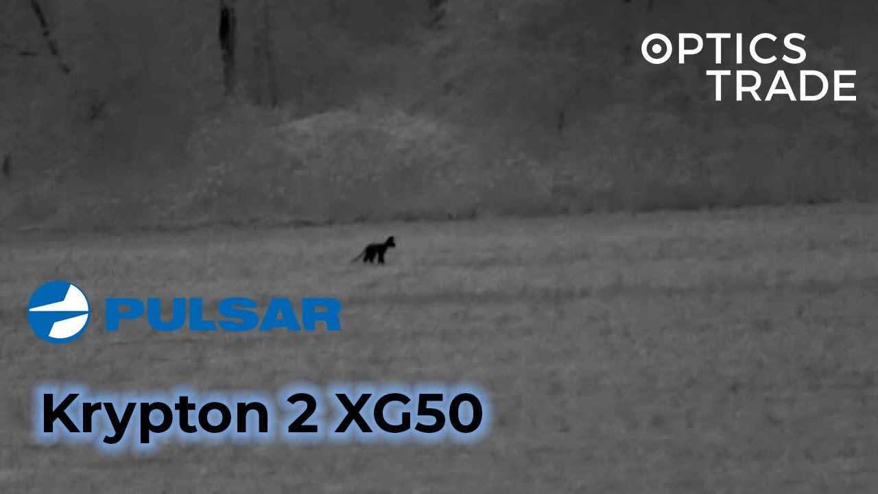 Fox with Pulsar Krypton 2 XG50 | Optics Trade See Through
