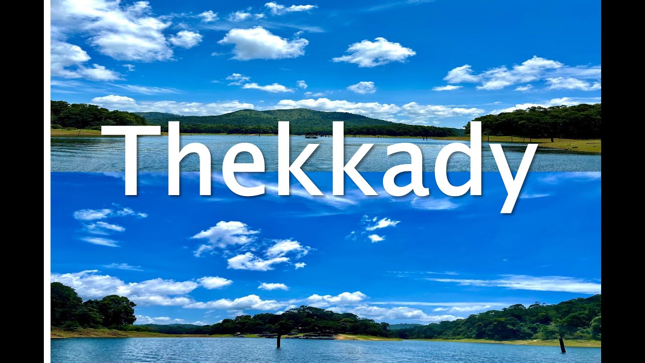 🌿🐘Thekkady! | Periyar Boat Safari, Elephant Camp, Spice Garden, Kathakali & Kalari & More 🎭✨